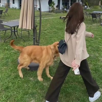 炼狱（电影）